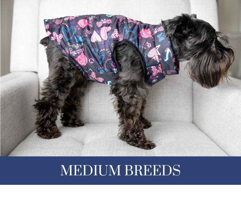 Medium best sale dog outfits