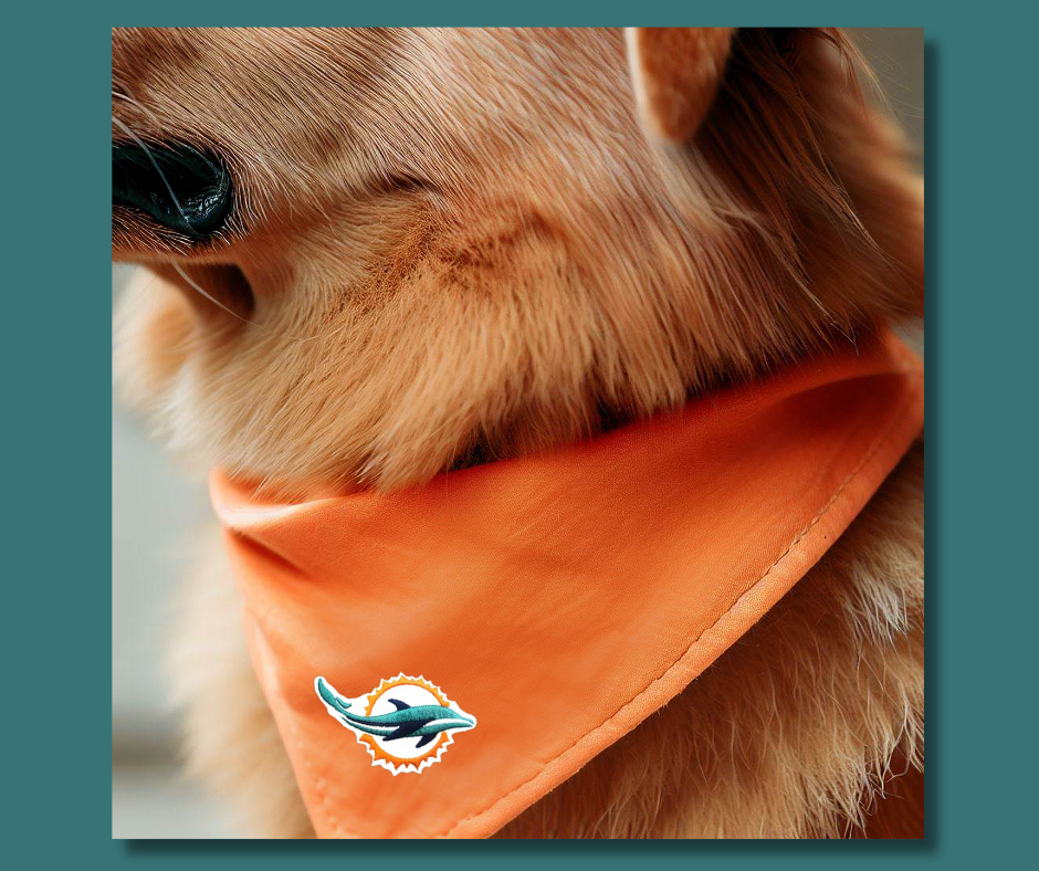 Miami Dolphins NFL Dog Collar Bandana