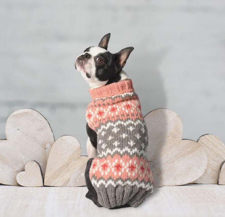 Anxiety sweaters for shop dogs