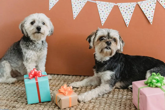 15 Adorable Pet Themed Gifts to Spoil Your Furry Friend