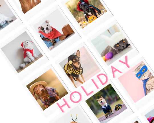 Holiday Clothes for Dogs and Cats