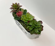 Dog Remembrance Gift Planter with Succulents