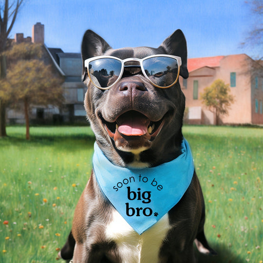 Big Brother Dog Bandana – New Pup Reveal Gift for Dog Mom