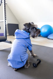Big Brother Dog Hoodie – Sibling Reveal Outfit for Dogs