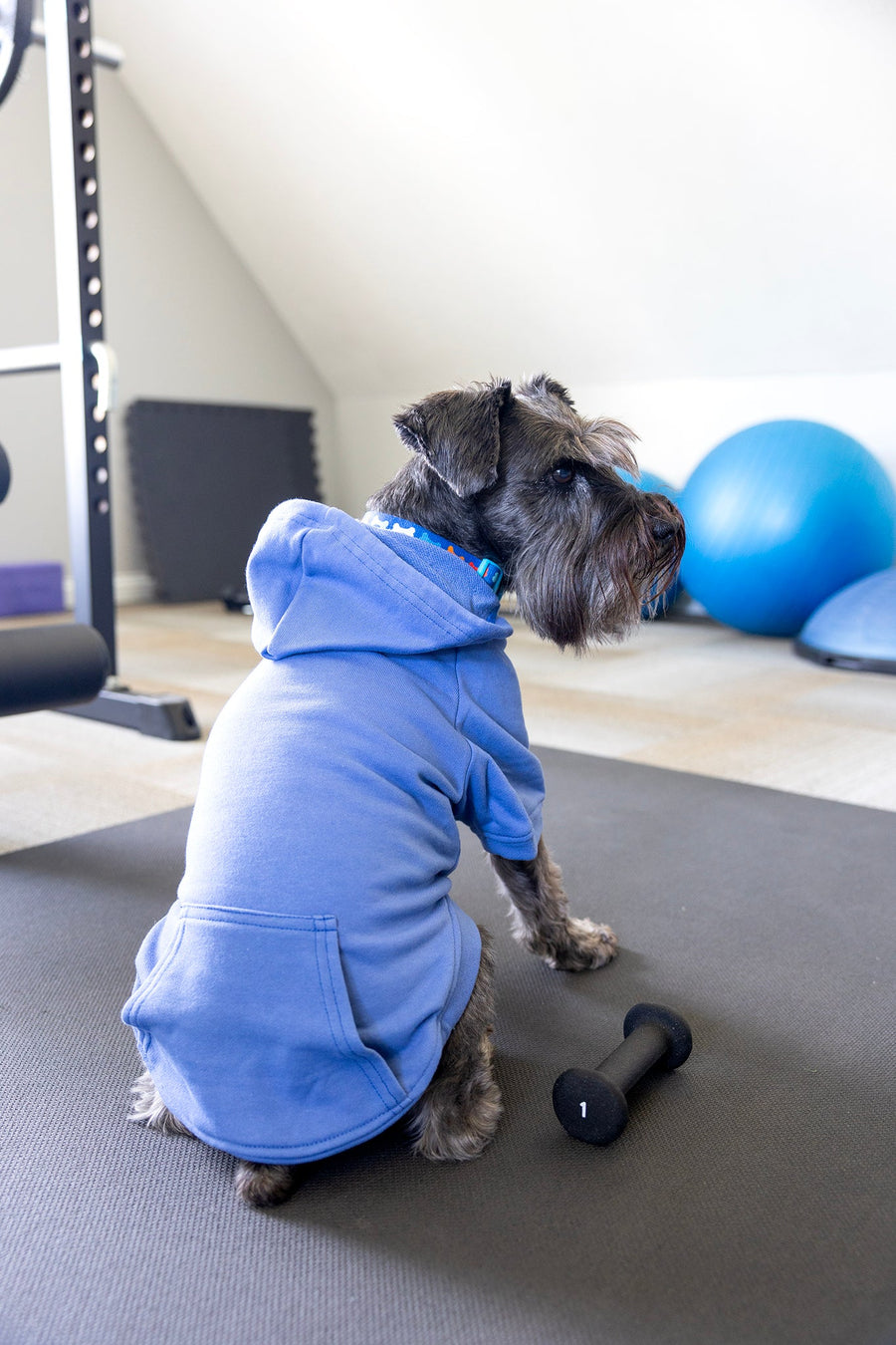 Big Brother Dog Hoodie – Sibling Reveal Outfit for Dogs