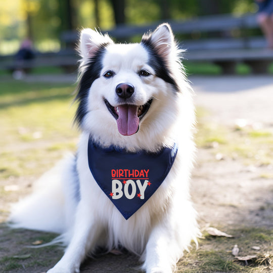 Birthday Bandana for Boy Dog – Party Accessory for Pup