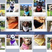 Birthday Dog Bandana – Pet Party Accessory for Your Pup