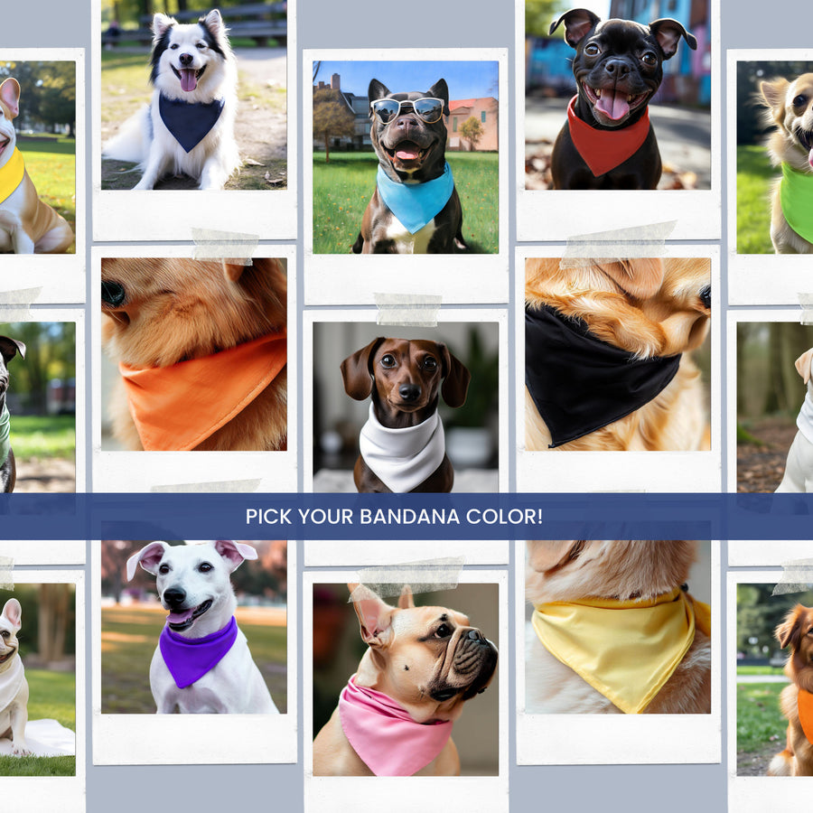 Birthday Dog Bandana – Pet Party Accessory for Your Pup