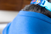 Blue Pet shirt neckline in blue.