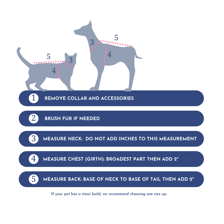 Guide to measure your dog for clothes.