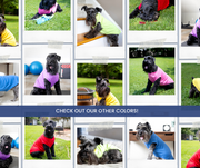 Blank Pet Shirts in all colors available!