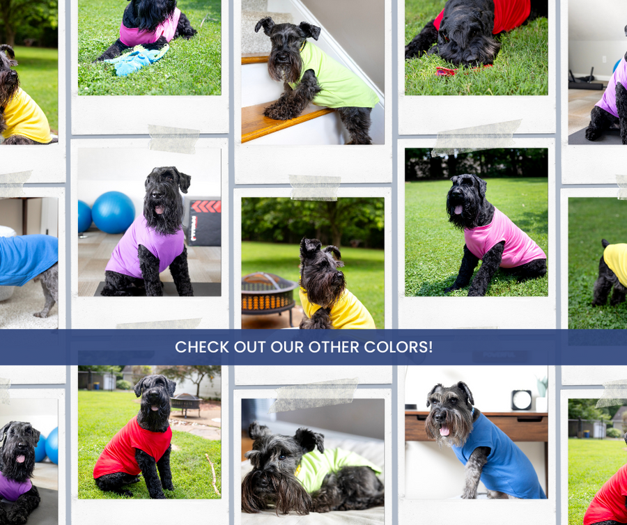 Blank Pet Shirts in all colors available!