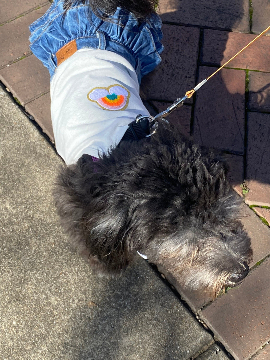 Blue Jean Dog Dress with Cowboy Hat & Howdy Design - Western Themed Dog Clothes