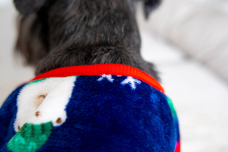 Cute Dog Pajamas in Blue for the Holidays