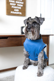 Comical Dog T Shirt in Blue - Will Do Tricks For Food