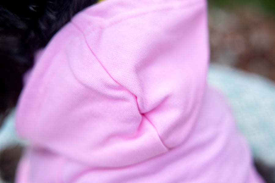 Close up of hood on dog shirt.