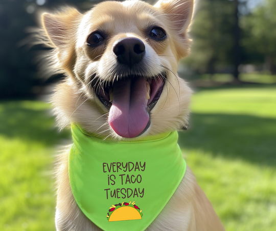 Custom Dog Bandana - Choose Any Design from Our Shop for Your Pet