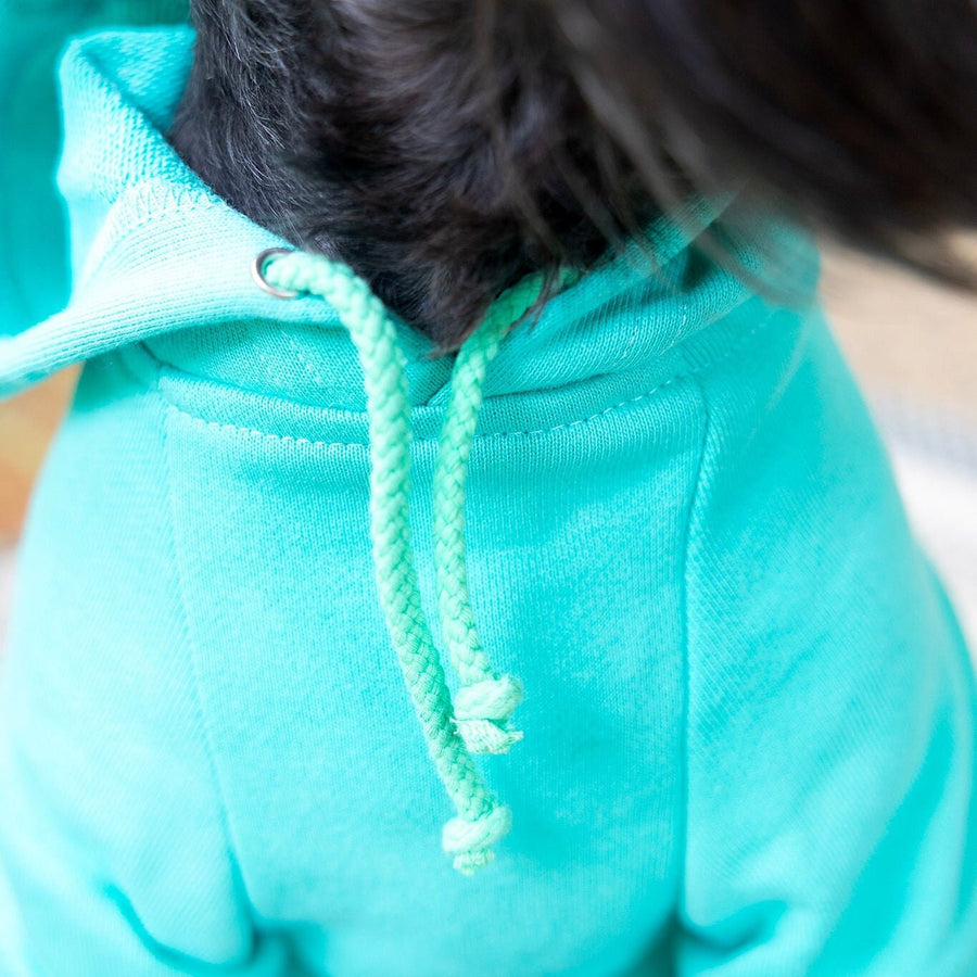 Custom Teal Dog Sweatshirt - Personalized Pet Shirt for Stylish Comfort