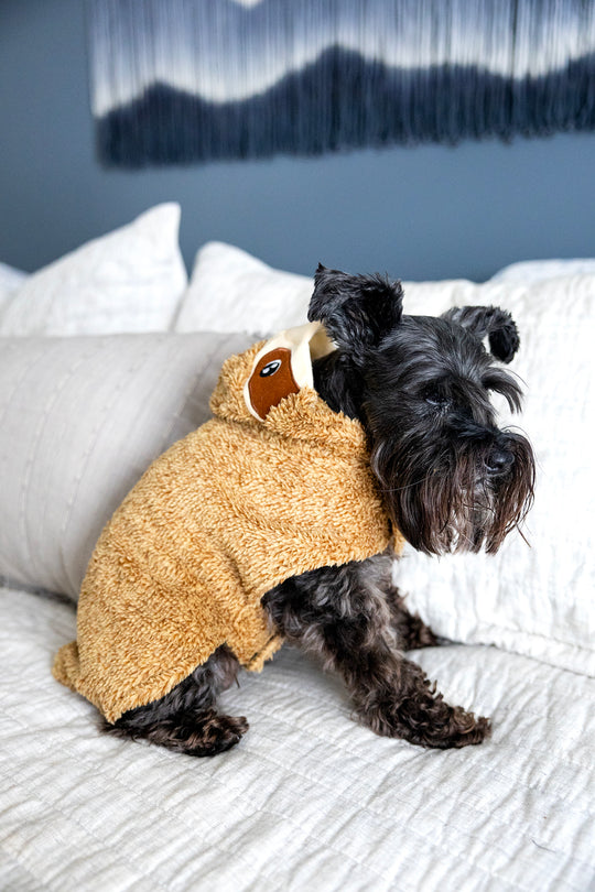 cute dog costume of sloth side view