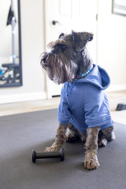Comfortable dog sweatshirt with drawstrings at neckline.