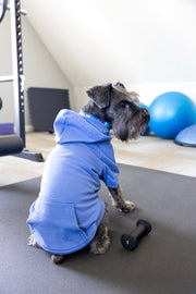 Back View of our blue dog sweatshirt displays the true front pocket like an adult hoodie.
