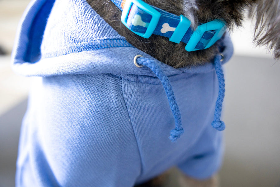 Close Up of blue dog hoodie with drawstrings and metal eyelets, Soft dog sweatshirt for cold weather, Blue hoodie for dog, dog clothes for large breed, xs breed dog shirt, for cat.