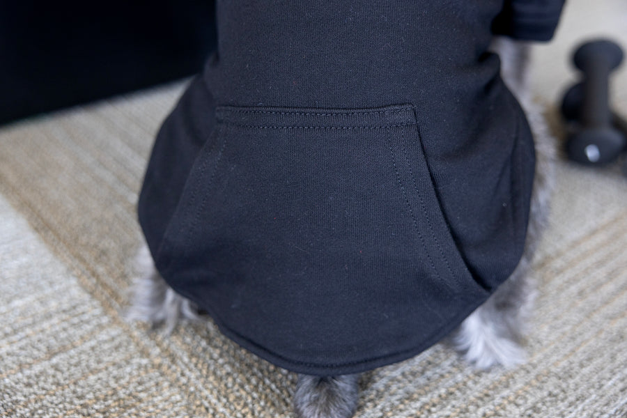 Pet sweatshirt with full pocket on back of dog shirt, cute dog costume for Fall.