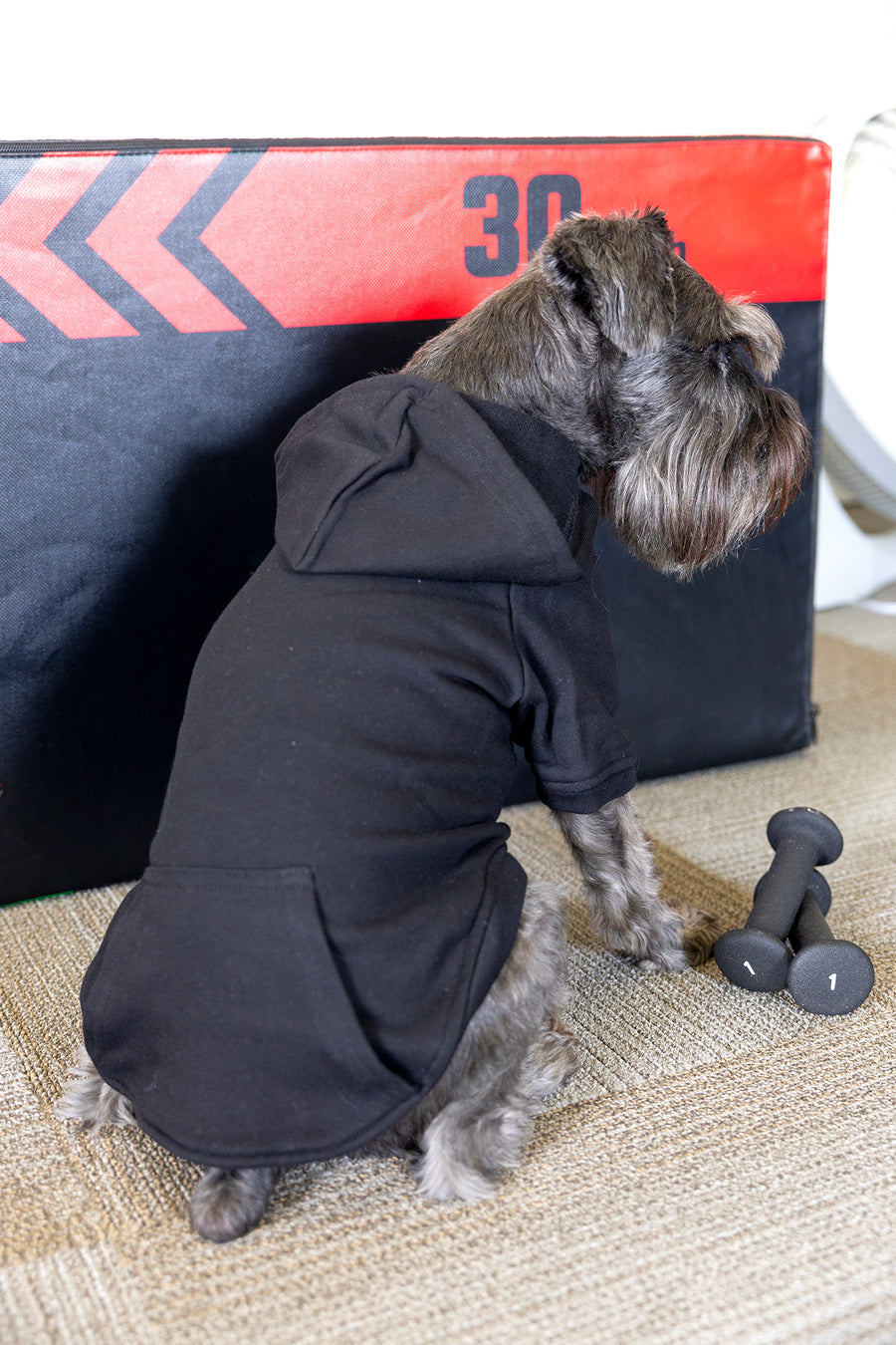 Custom Dog Hoodie with Your Team in Black