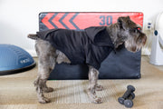Side view of funny dog shirt to show clothes pattern and fit, black dog hoodie sweatshirt with custom design.