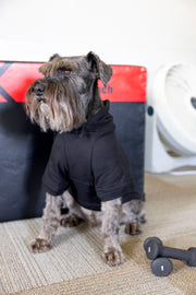 Dog sweater for cold weather, showing front chest of black dog hoodie, fit for anxiety relief in dogs, calm pet with cute dog clothes.