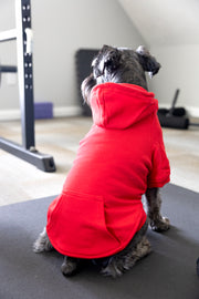 Back view of red pet sweatshirt showing large pocket.