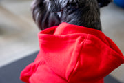 Close up of hood on red dog sweatshirt, luxury dog clothes with waffle texture inside hood.