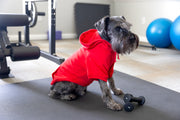 Side view of red dog sweatshirt showing quality hemmed edges.