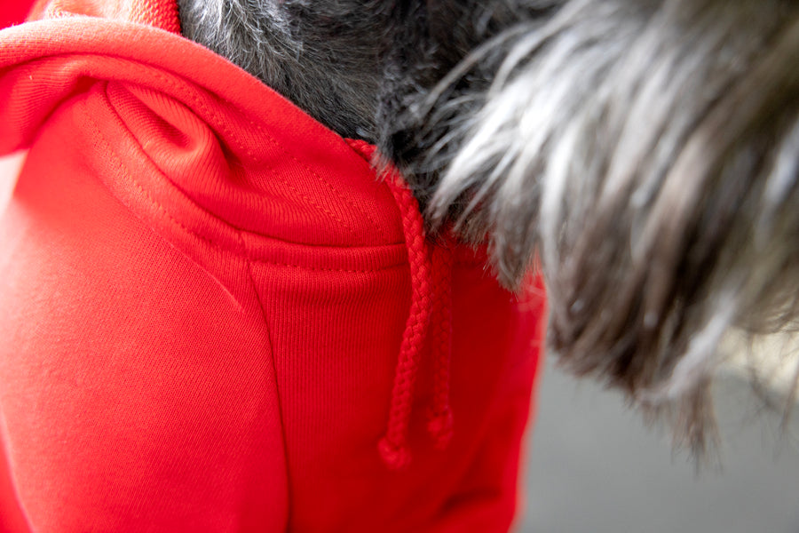 Close up of pet hoodie drawstrings, high quality designer dog shirt in red.