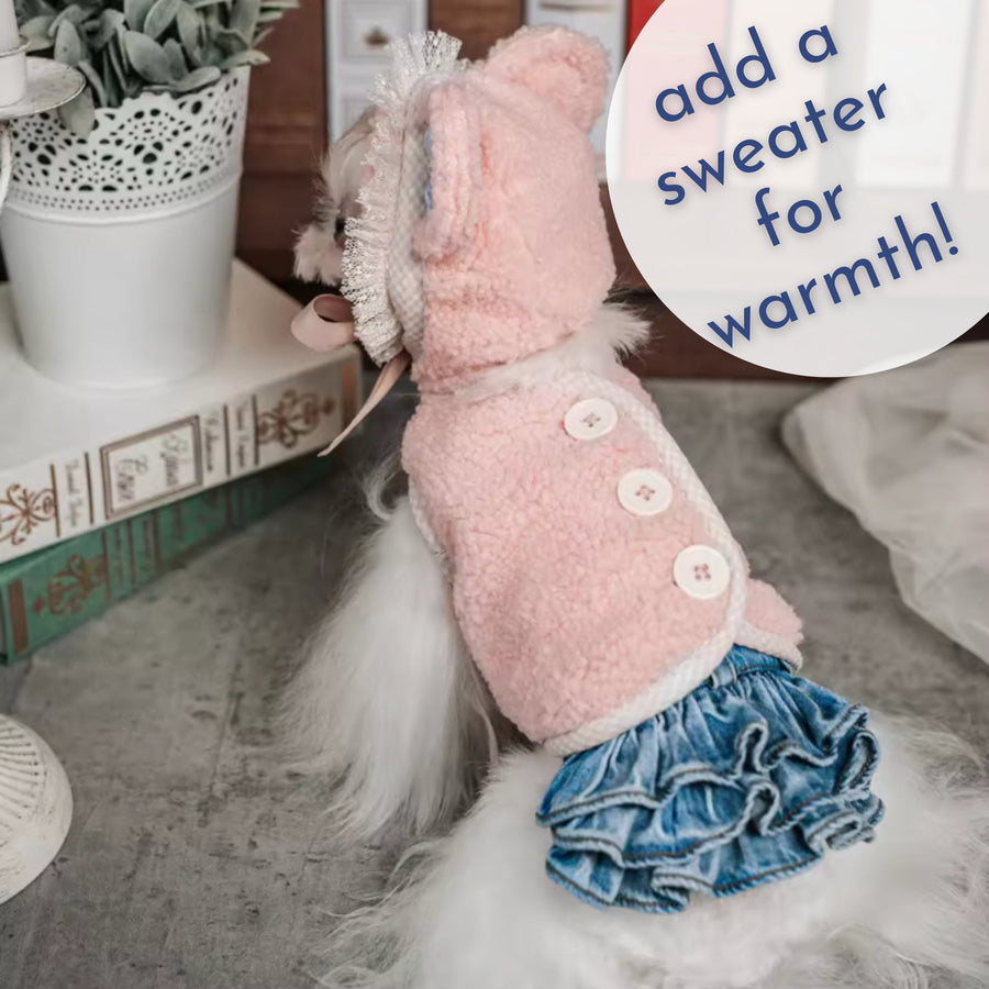 Daddy's Girl Dog Dress | Small Dog Harness Outfit with Purple Gold Heart