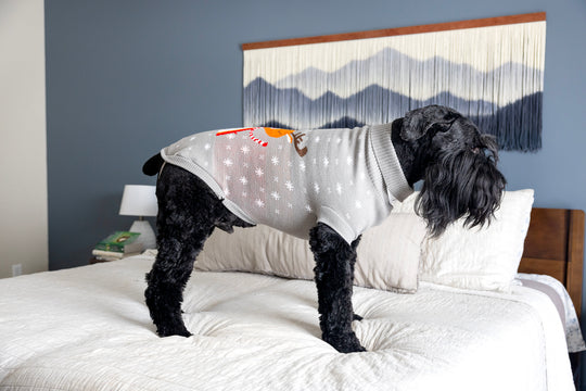 Designer dog sweater in gray, side view showing turtleneck, with arms and leg straps.