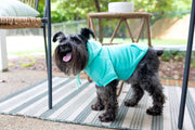 Dog Hoodie for Boy Dog in Teal - Mama's Boy