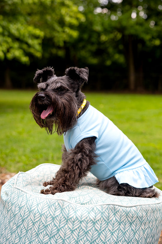 Dog clothing in blue Dress