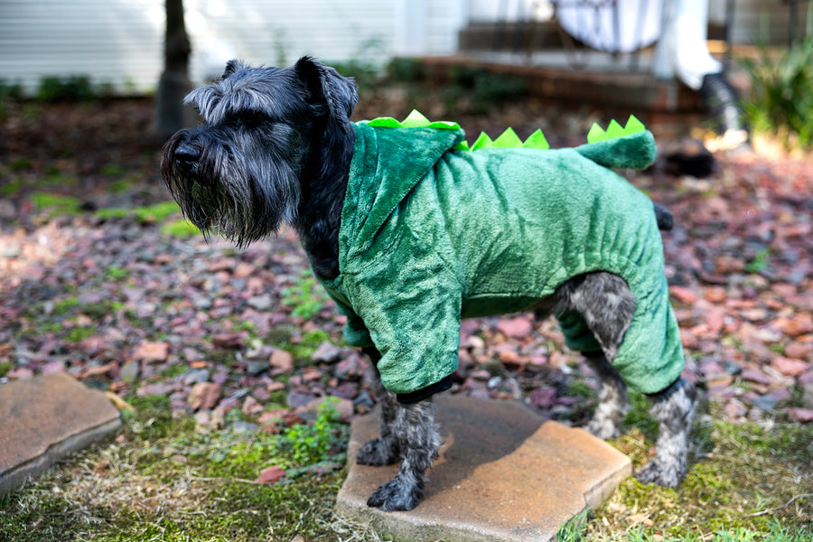 dog halloween costume in green, side view standing, dinosaur