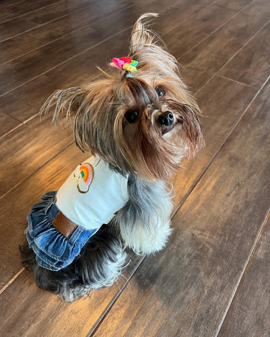 Dog Party Dress | Rainbow Harness Style with Blue Jean Skirt Outfit