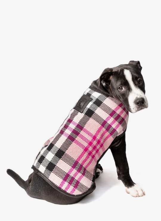 Pink Blanket Coat for Large Dog in Plaid
