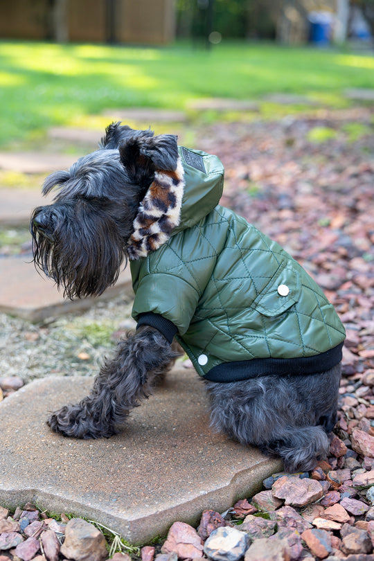 Dog jacket for fall to keep pet warm, side view, olive green