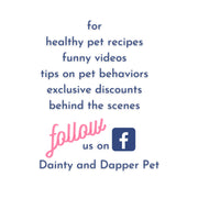 Easter Dog Gift Set | Bandana, Toy Ball & Fragrance Spray for Pet