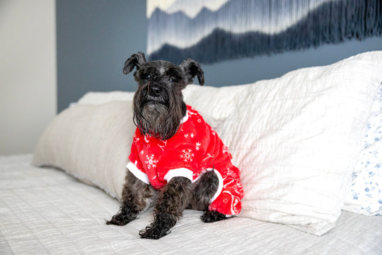 Family pajamas in red and white