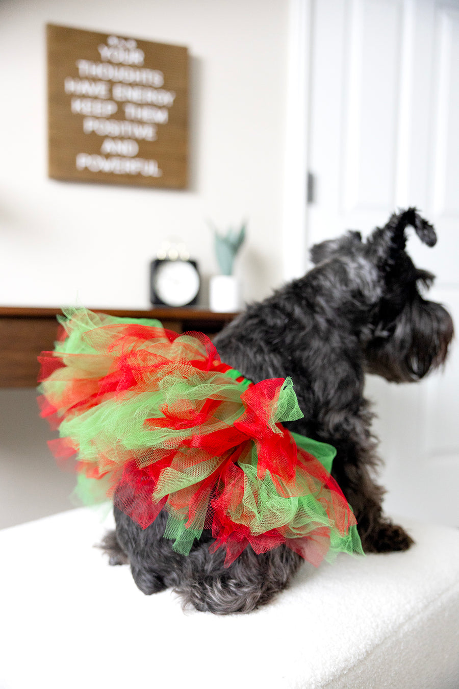 Festive tutu for pet in red and green for Christmas, showing back view