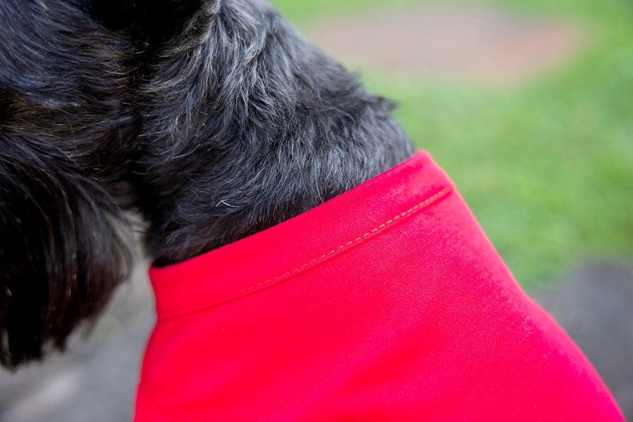 Fourth of July Red Dog Dress | Patriotic Pet Outfit for Your Dog
