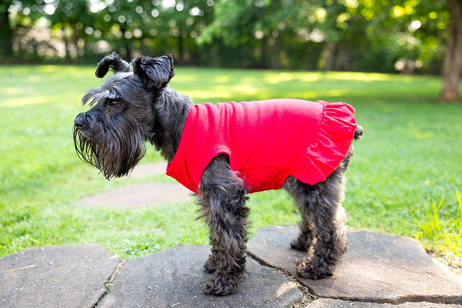 Fourth of July Red Dog Dress | Patriotic Pet Outfit for Your Dog