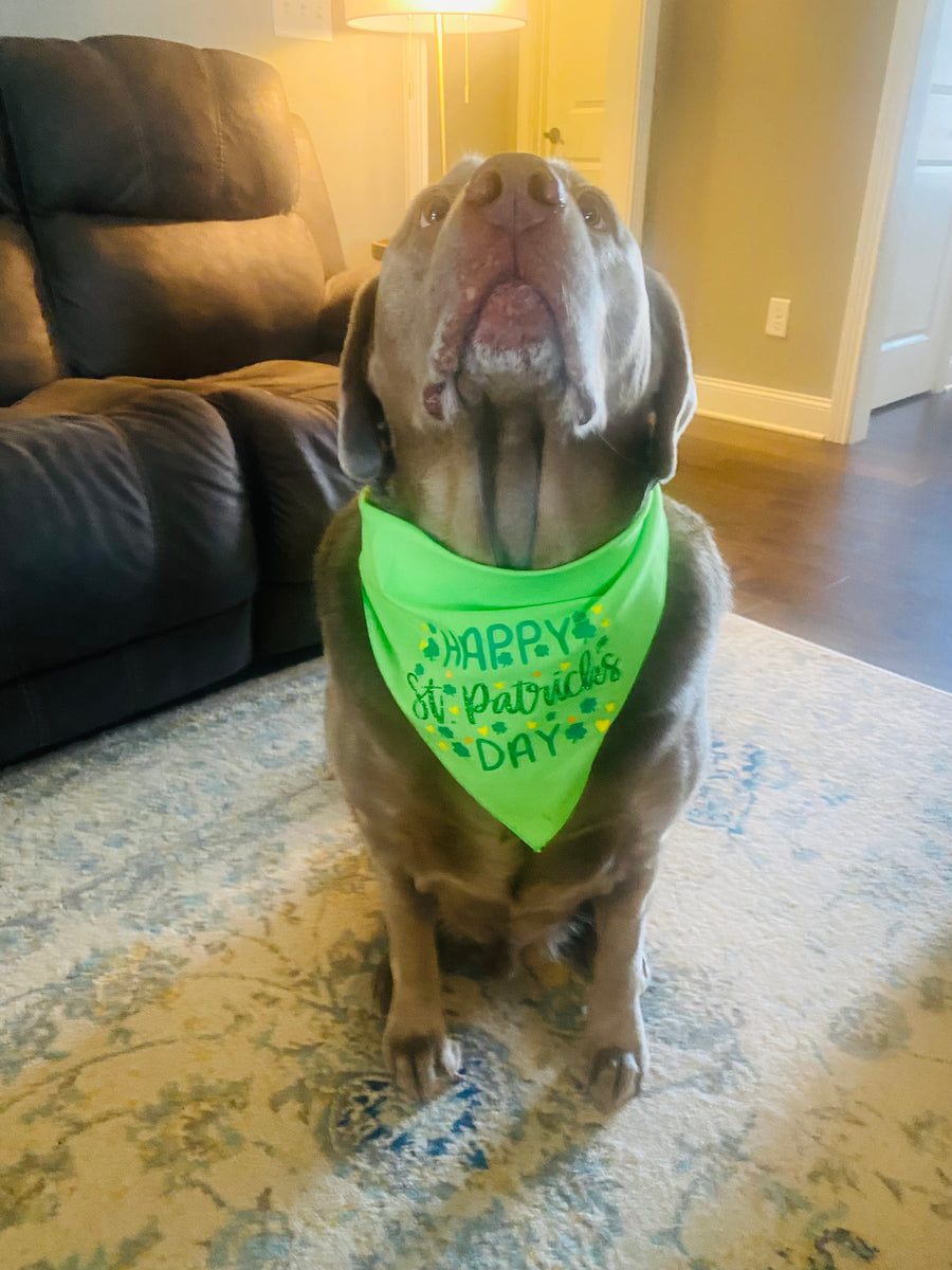 Green Bandana for Dogs - Happy St Patricks Day with Glitter Letters
