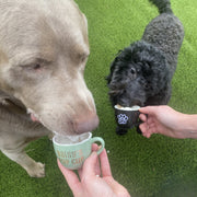 Halloween Gift for Dog | Pup Cup with Festive Design for Your Pet