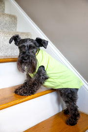 Dog T Shirt in Green with Cute Design